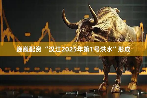 巍巍配资 “汉江2025年第1号洪水”形成