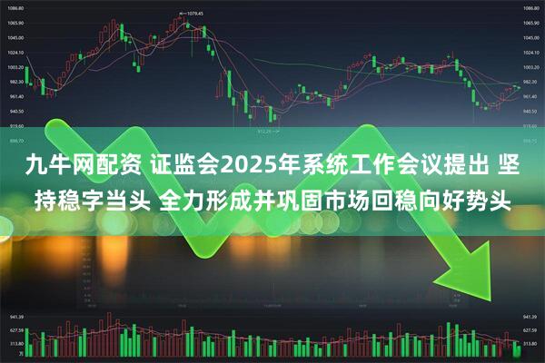 九牛网配资 证监会2025年系统工作会议提出 坚持稳字当头 全力形成并巩固市场回稳向好势头