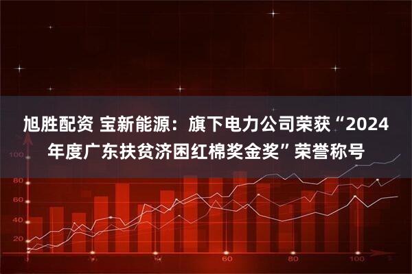 旭胜配资 宝新能源：旗下电力公司荣获“2024年度广东扶贫济困红棉奖金奖”荣誉称号