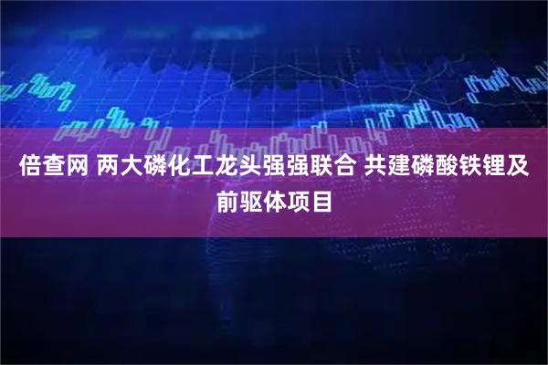 倍查网 两大磷化工龙头强强联合 共建磷酸铁锂及前驱体项目