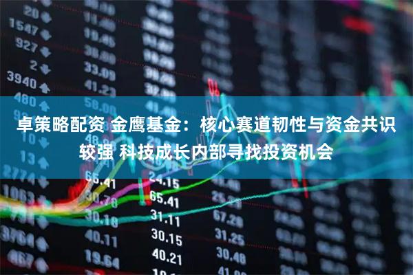 卓策略配资 金鹰基金：核心赛道韧性与资金共识较强 科技成长内部寻找投资机会