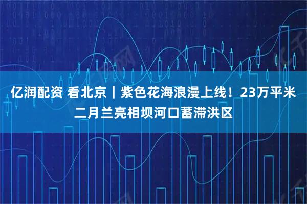 亿润配资 看北京|紫色花海浪漫上线!23万平米二月兰亮相坝河口蓄滞洪区